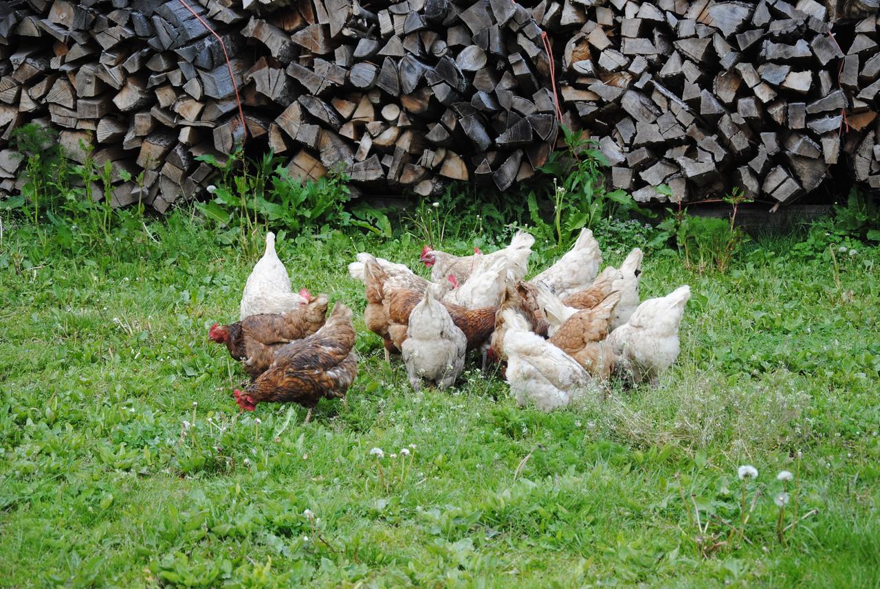 Landgasthof Seyrlberg Reichenau im Muhlkreis Luaran gambar