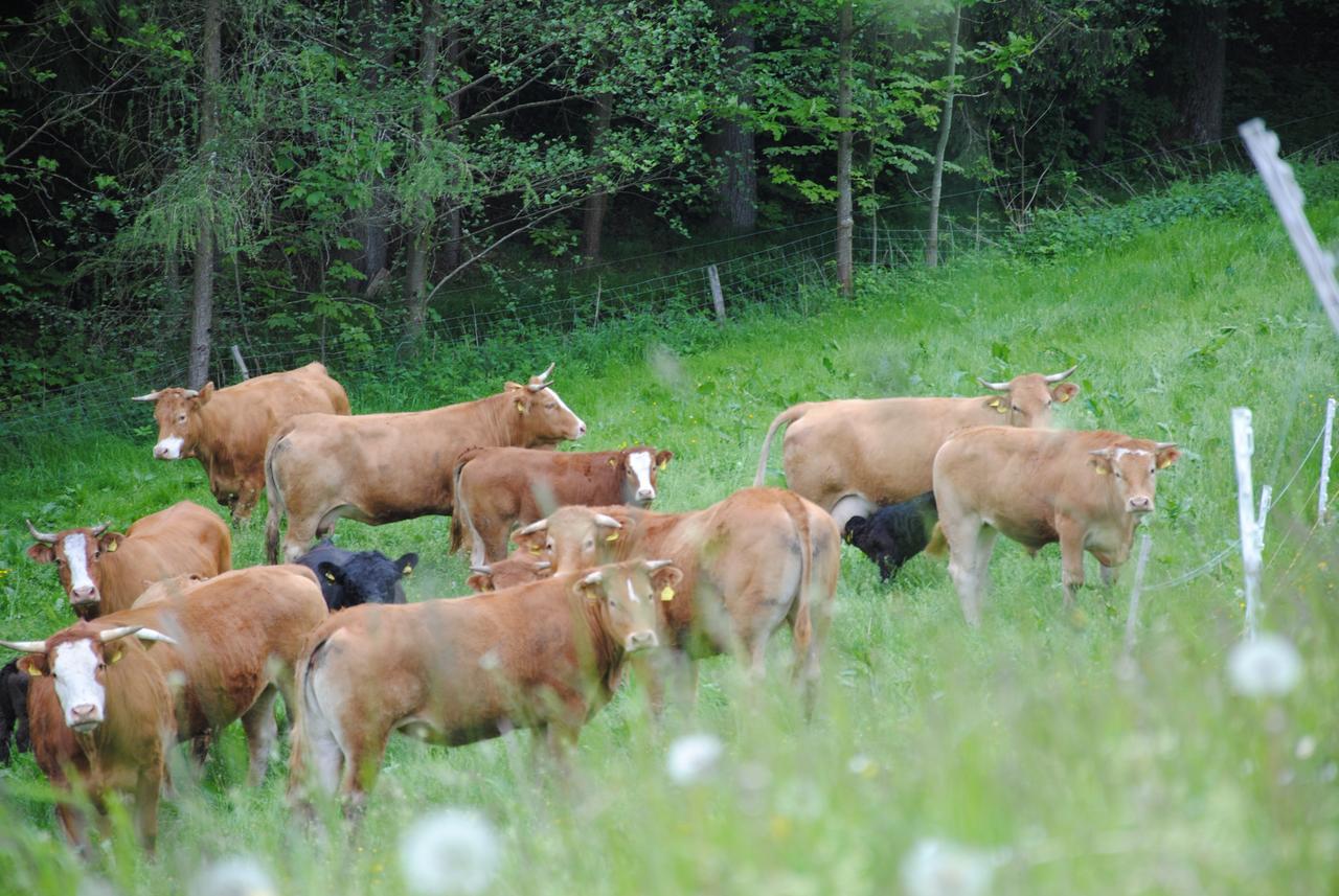 Landgasthof Seyrlberg Reichenau im Muhlkreis Luaran gambar